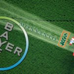 Cinco coisas que a Monsanto não quer que você saiba sobre OGM